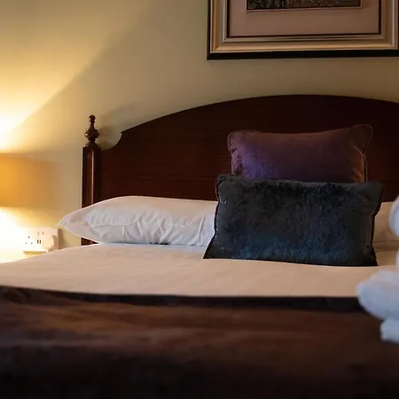 Bridge فندق آركلو