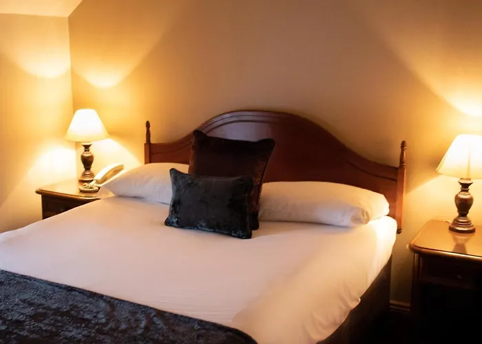 酒店 Bridge 阿克洛